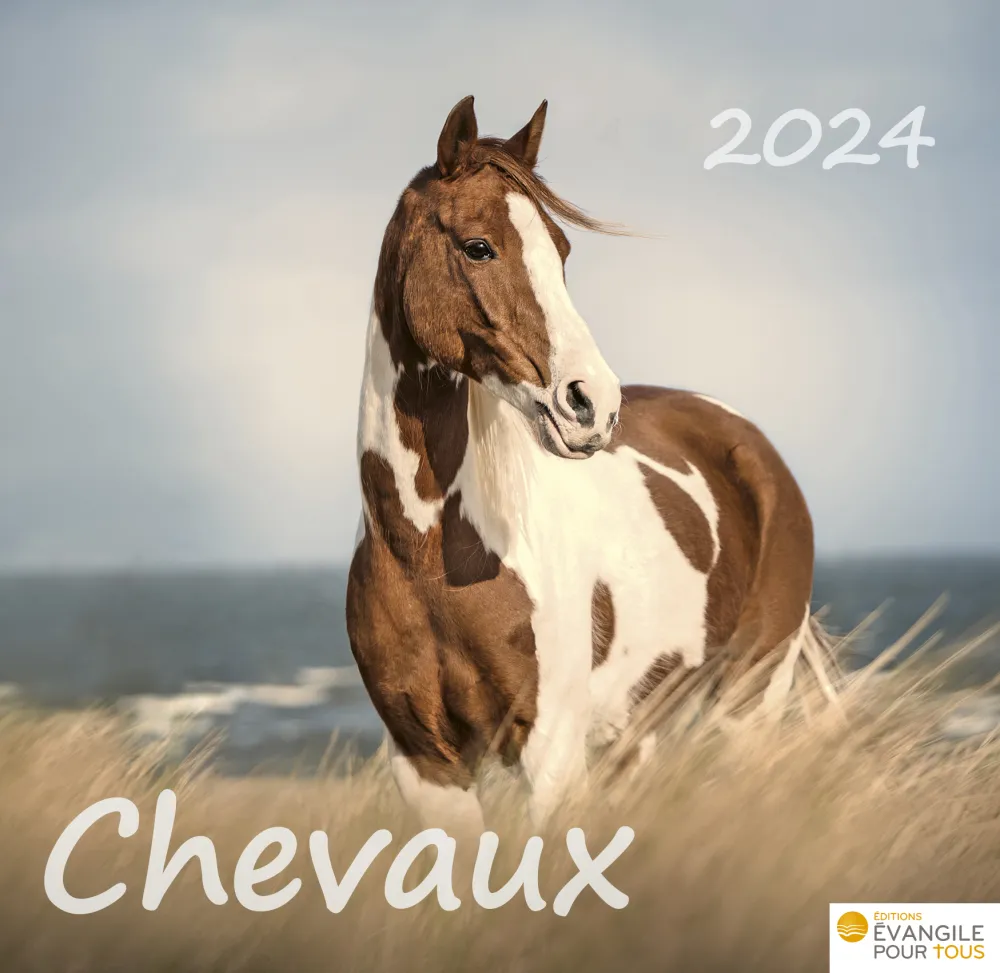 Chevaux, Merveilles de la création - Calendrier de table