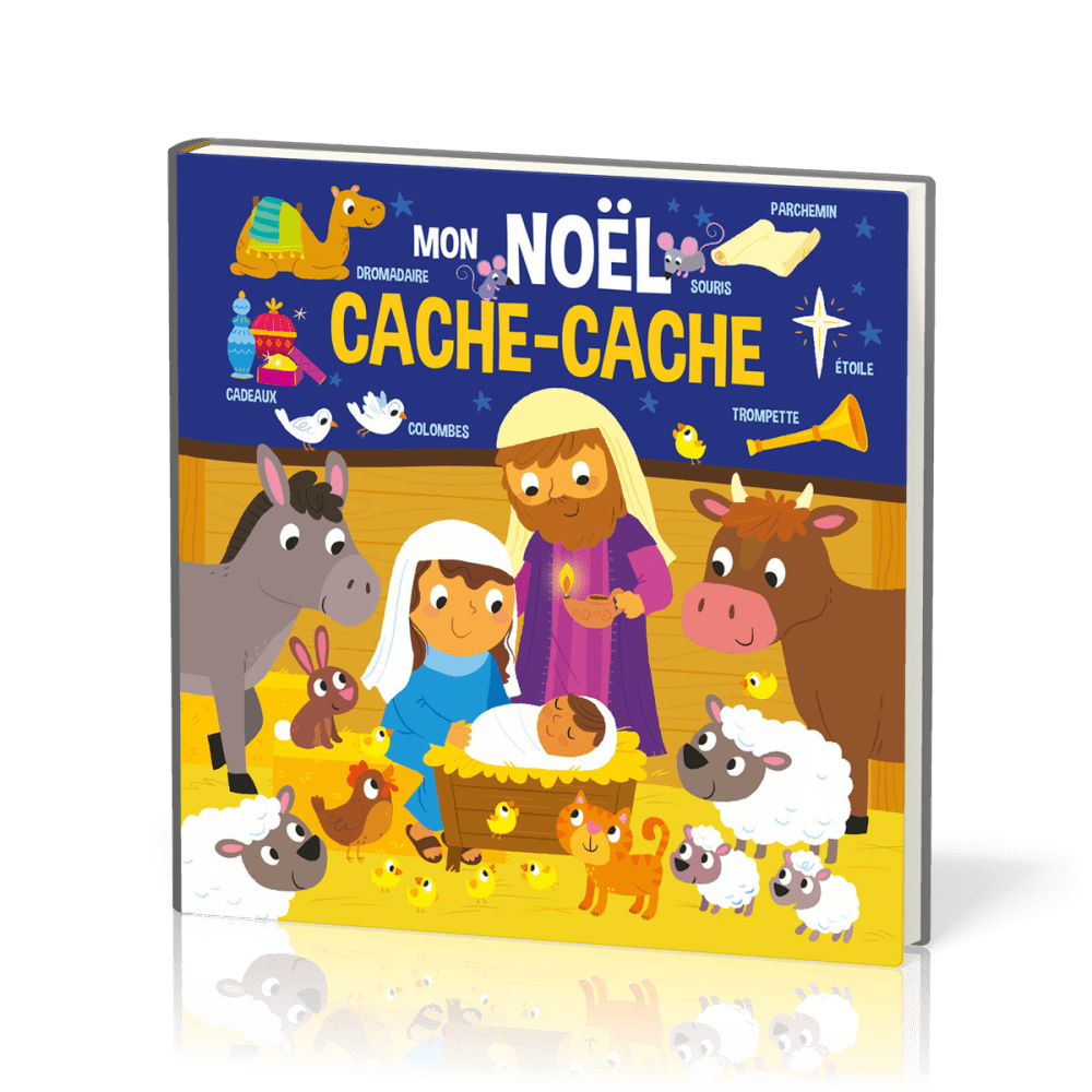 Mon Noël cache-cache