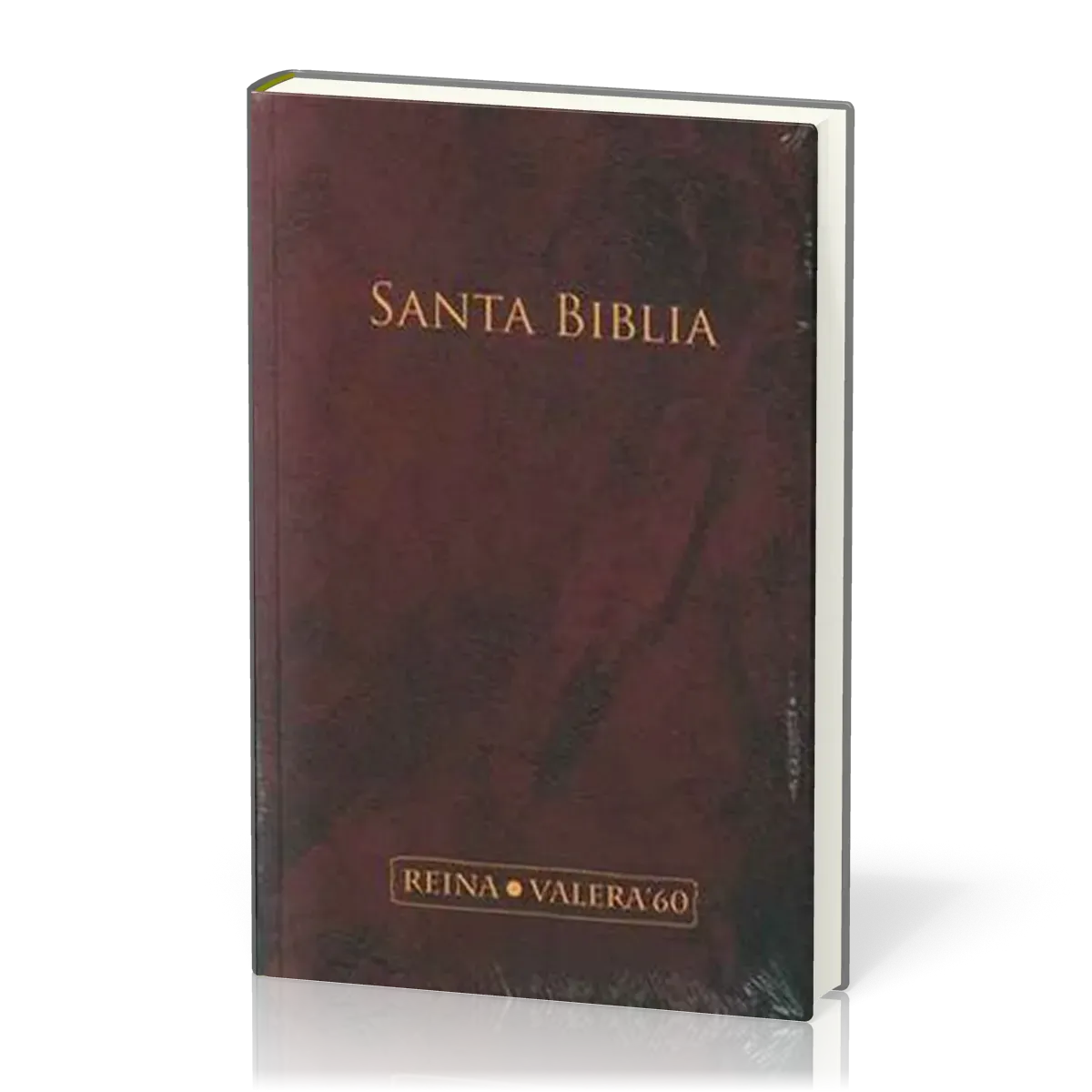 Espagnol, Bible, Reina Valera 1960, bordeaux, rigide - Grand format