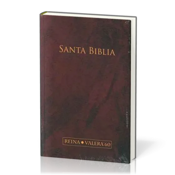 Espagnol, Bible, Reina Valera 1960, bordeaux, rigide - Grand format