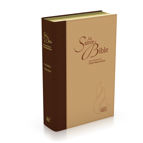 Bible d'étude Segond NEG MacArthur - couverture souple en toile, tranche or, brun/beige