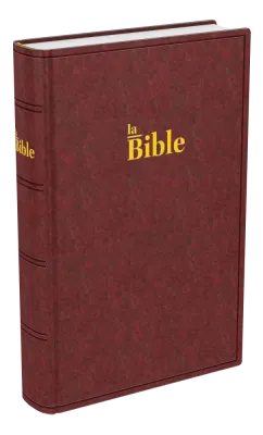 Bible Darby, format compact, brune - couverture rigide
