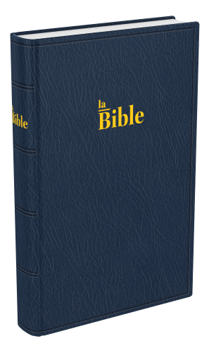 Bible Darby, format standard, bleu - couverture souple