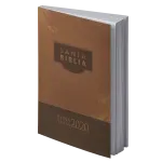 BIBLIA RV2020 RÚSTICA. MARRÓN