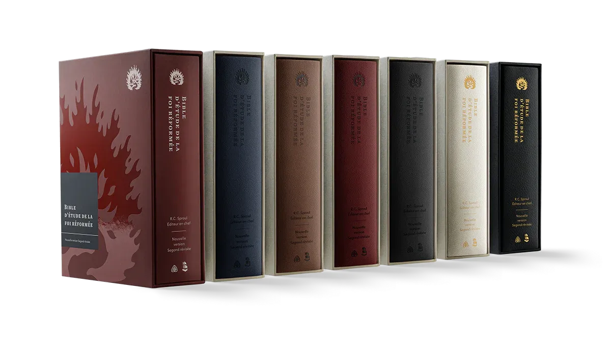 Bible d’étude de la foi réformée - Anthracite, Similicuir, tranches or, un signet