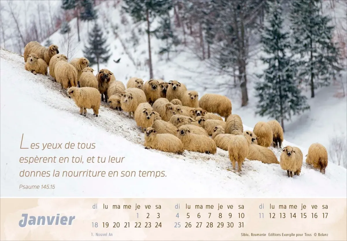 Bon berger (Le) - Calendrier cartes postales, horizontal