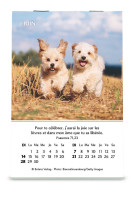 Joie - mini calendrier