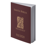 REINA VALERA 2020 FLEX GRANATE OSO