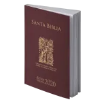 REINA VALERA 2020 FLEX GRANATE OSO