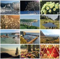 Calendrier perpétuel - paysages