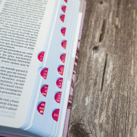 Bible Segond 21 compacte (Premium Style) - couverture souple, toile rose avec paillettes et onglets