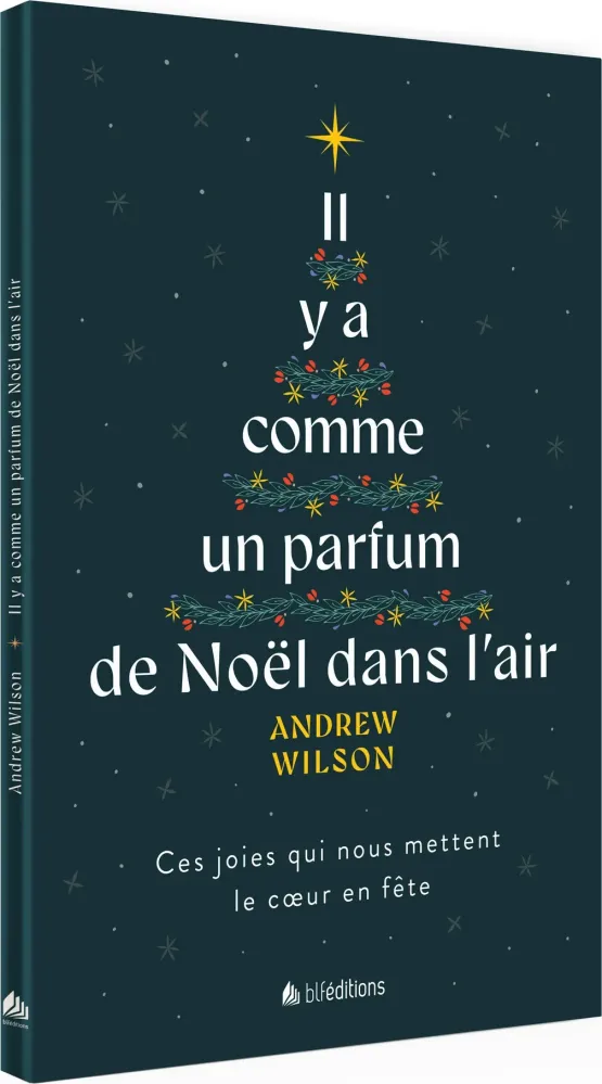 Il y a comme un parfum de Noël dans l'air - Ces joies qui nous mettent le cœur en fête