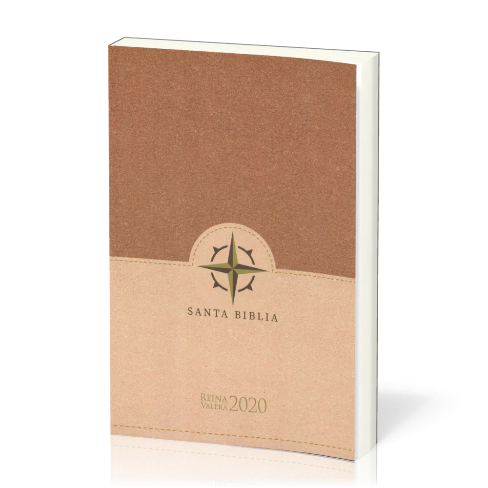 Espagnol, Bible, Reina Valera 2020 - Gros caractères, broché, brun