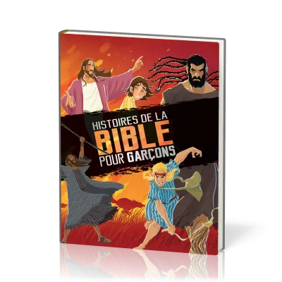 Histoires de la Bible pour garçons