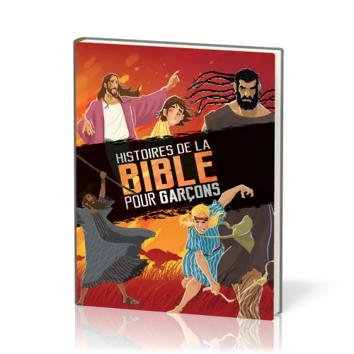 Histoires de la Bible pour garçons