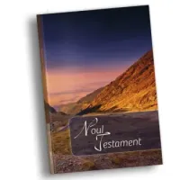 Roumain, Nouveau Testament broché, multicolore