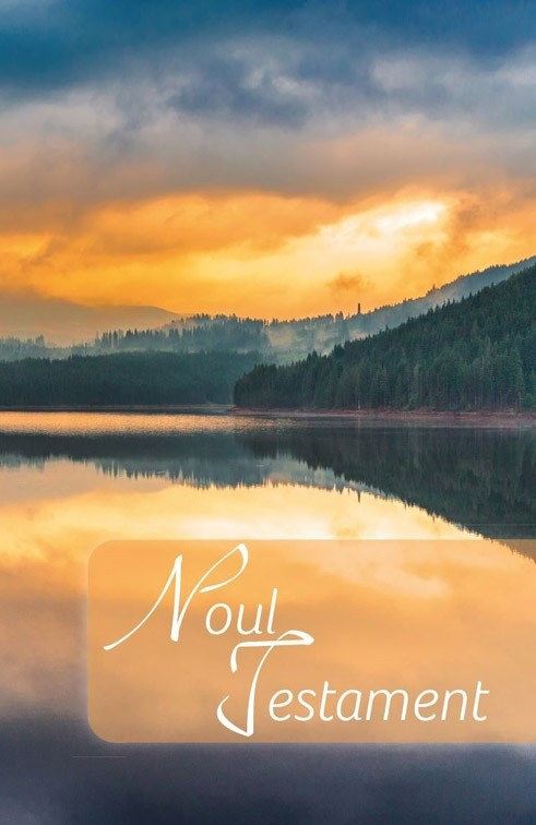 Roumain, Nouveau Testament broché, multicolore