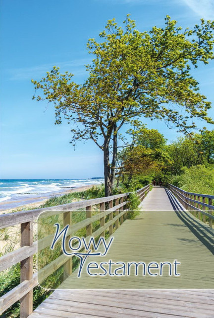 Polonais, Nouveau Testament, Multicolore