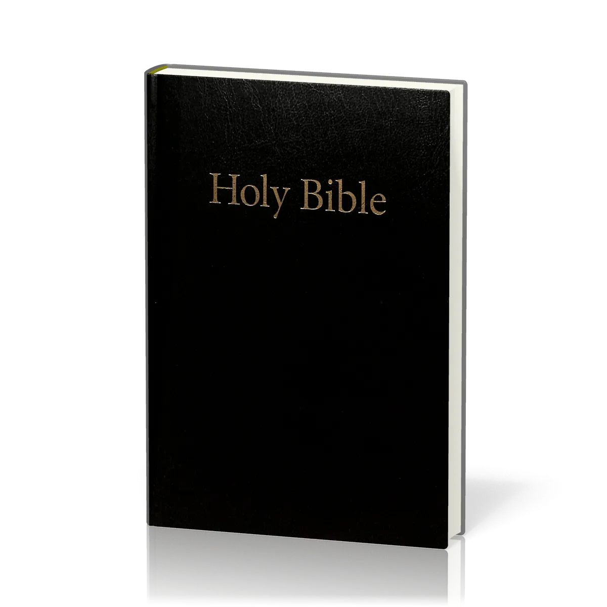 Anglais, Bible KJV, moyen modèle, rigide, noire