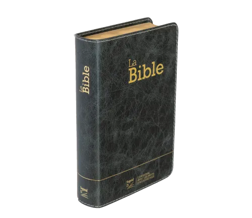 Bible Segond 21 compacte (Premium Style) - couverture souple, cuir anthracite, avec tranches dorées