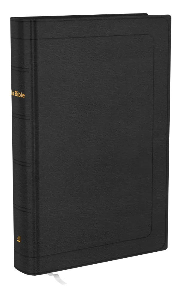 Bible Darby révisée format standard, cuir noir, tranche or