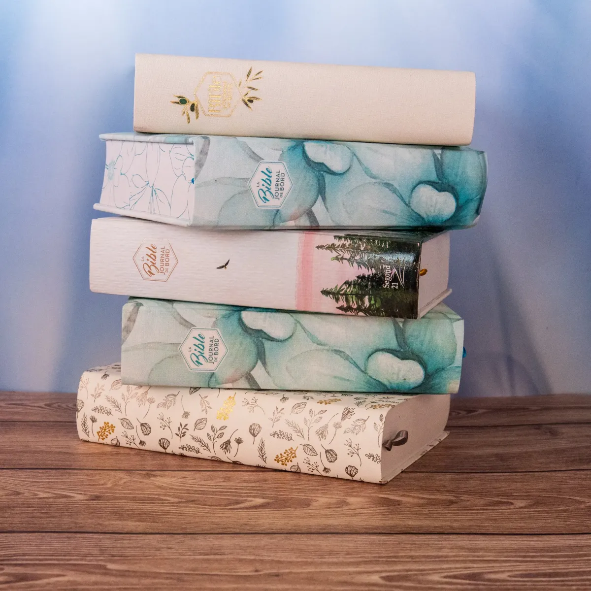Bible Segond 21 Journal de bord - couverture rigide illustrée motif crayon