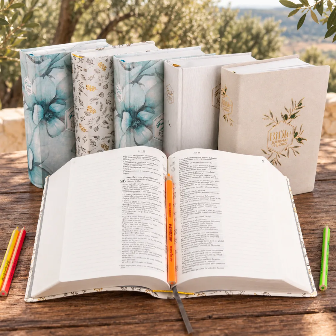 Bible Segond 21 Journal de bord -  couverture souple, toile blanche avec motifs dorés