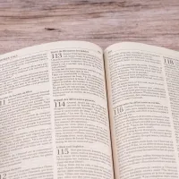 Bible Segond 21 - brochée, papier recyclé