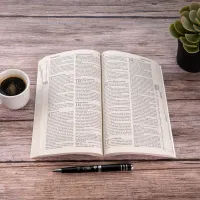 Bible Segond 21 - brochée, papier recyclé