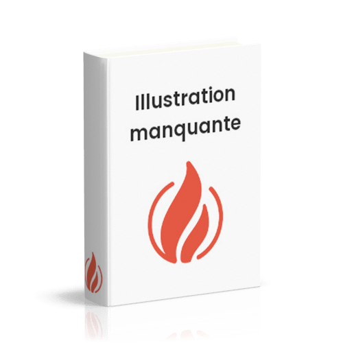 Kit de 6 cartes de la Nativité effet vitrail