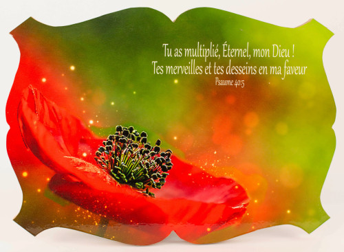 Cadre bois «Tu as multiplié Éternel […]» Psame 40.5, écusson horizontal