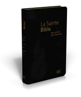 Bible d'étude NEG à parallèles, noire - couverture souple, fibrocuir, tranche or, onglets