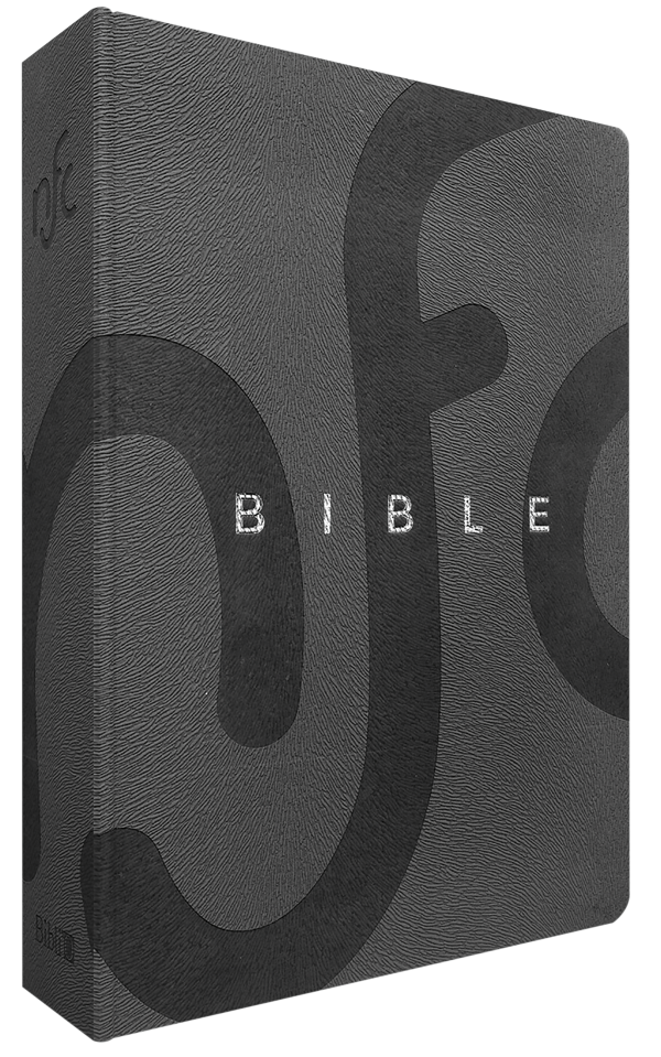 Bible Nouvelle Français Courant - Couverture souple, simili cuir gris, tranche argent, avec deutérocanoniques