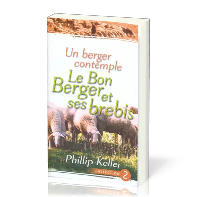 Un berger contemple - Le Bon Berger et ses brebis
