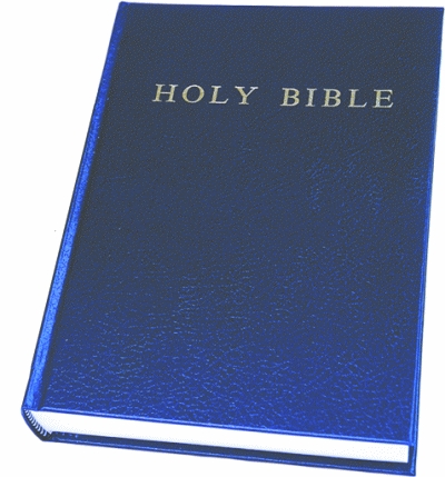 Anglais, Bible King James Version, moyen format, rigide, bleue