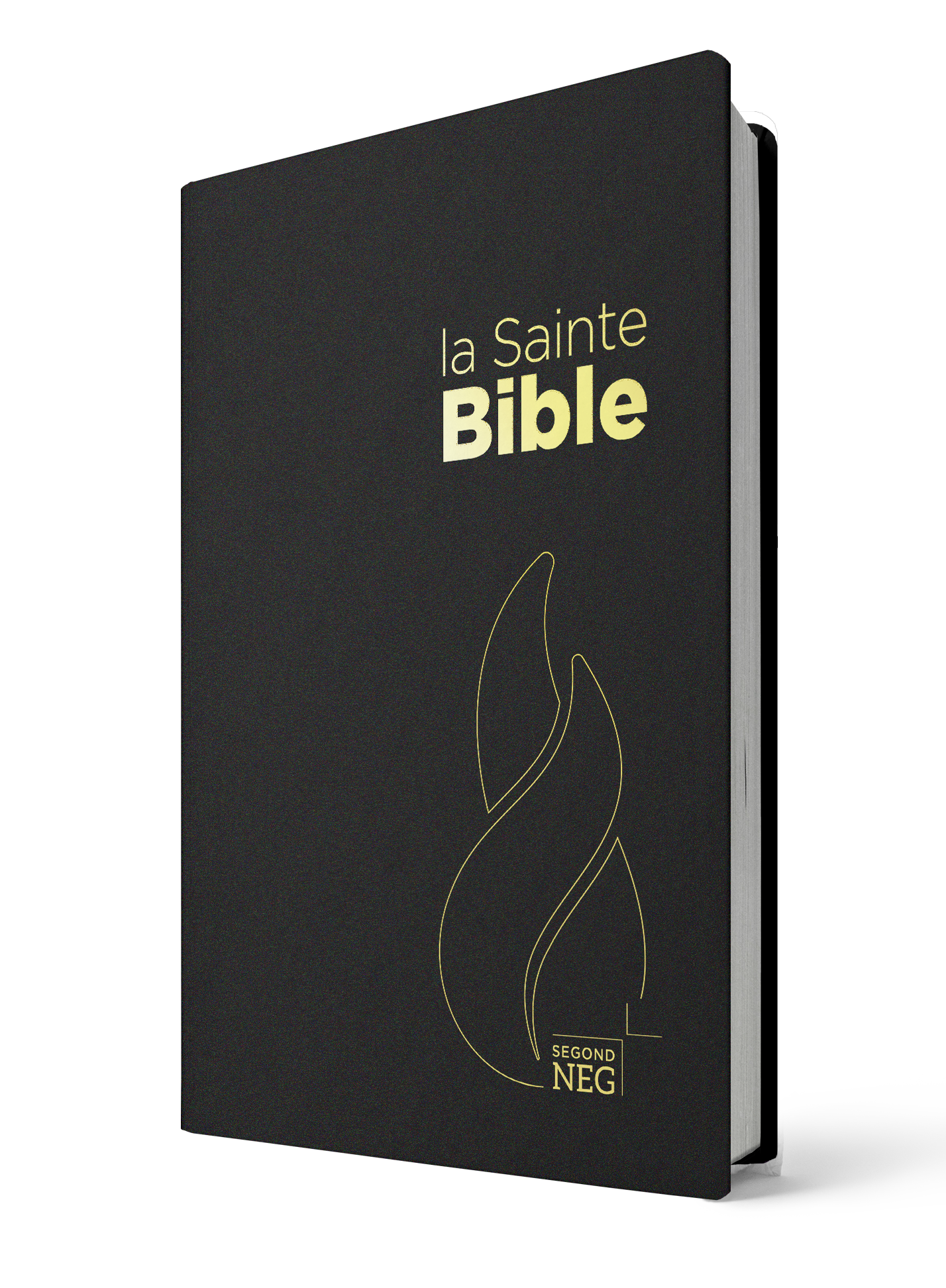 Bible Segond NEG, compacte, noire - couverture souple, flexa