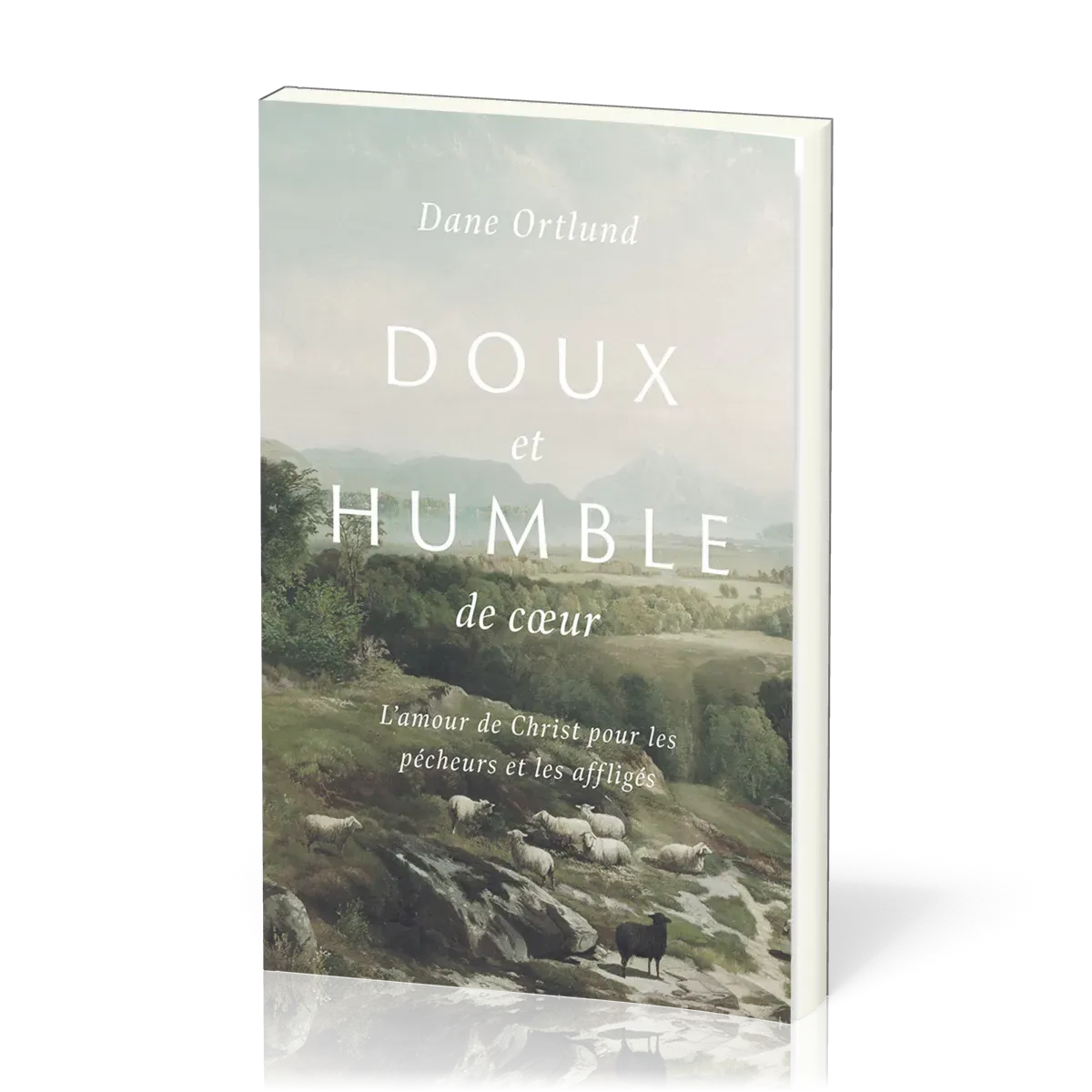 Doux et humble de cœur - L'amour de Christ pour les pêcheurs et les affligés