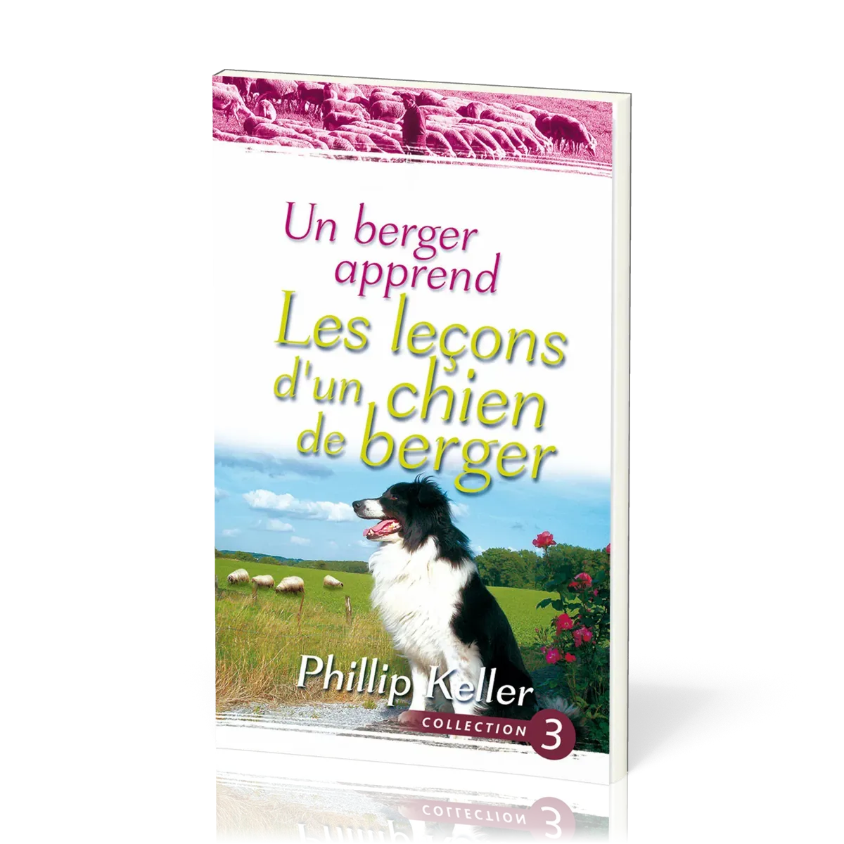 Un berger apprend - Les leçons d'un chien de berger