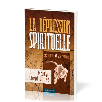 Dépression spirituelle (La) - Ses causes et ses remèdes