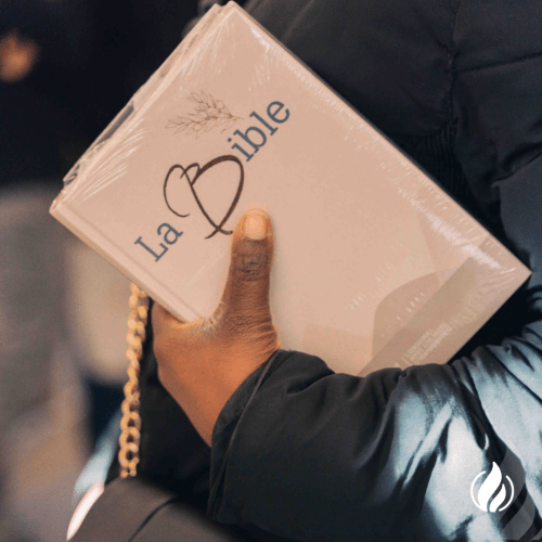 Les Bibles les plus demandées 